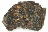 Polished Sericho Pallasite Meteorite (g) - Kenya #232273-2